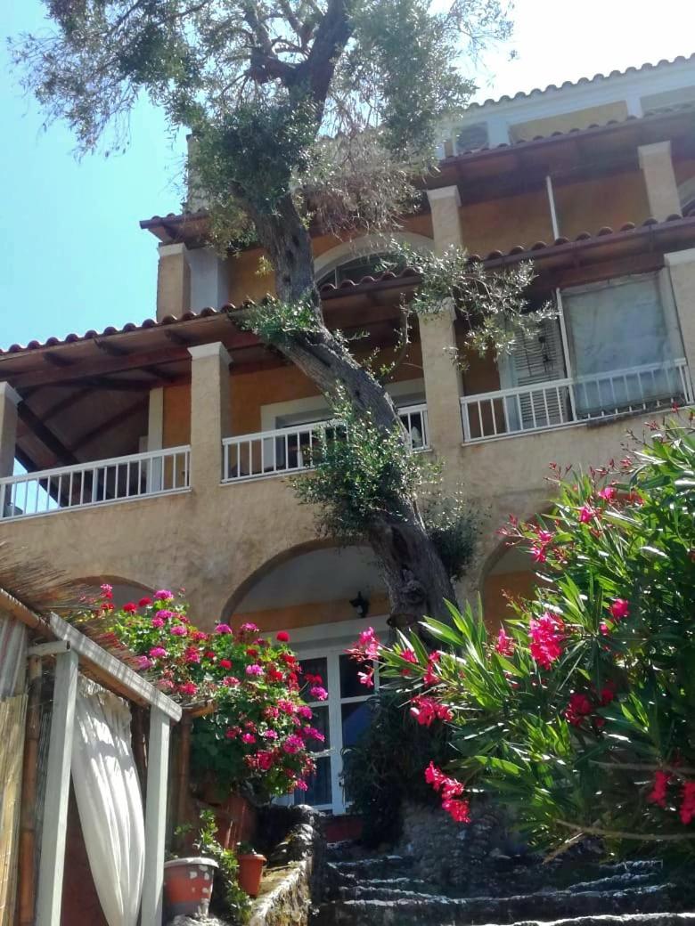 Kohyli Beachfront House Agia Pelagia Chlomou エクステリア 写真