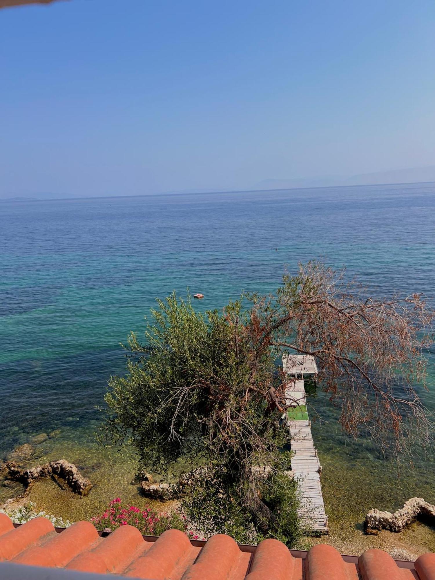 Kohyli Beachfront House Agia Pelagia Chlomou エクステリア 写真